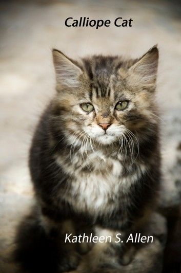 Calliope Cat