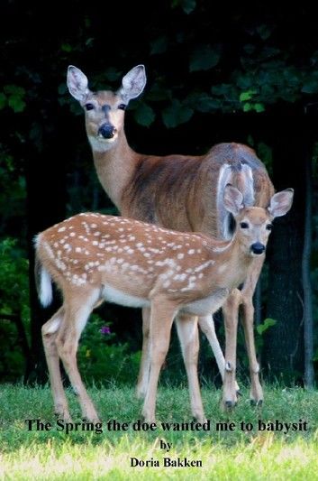 The spring the doe wanted me to baby-sit