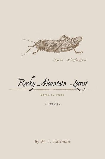 Rocky Mountain Locust