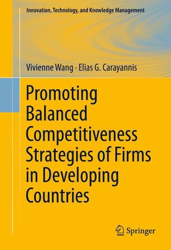 Promoting Balanced Competitiveness Strategies of Firms in Developing Countries