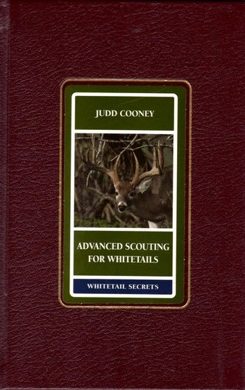 Advanced Scouting for Whitetails