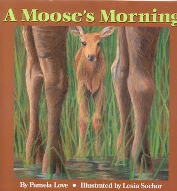 A Moose\