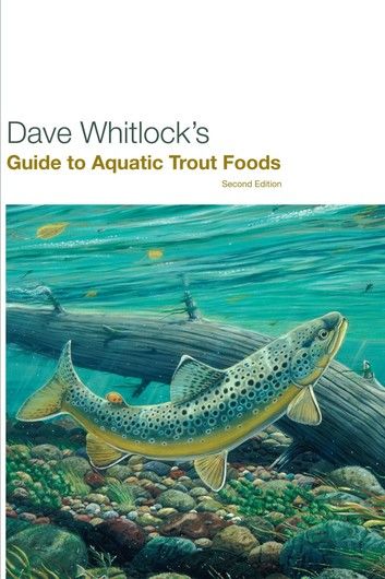 Dave Whitlock\