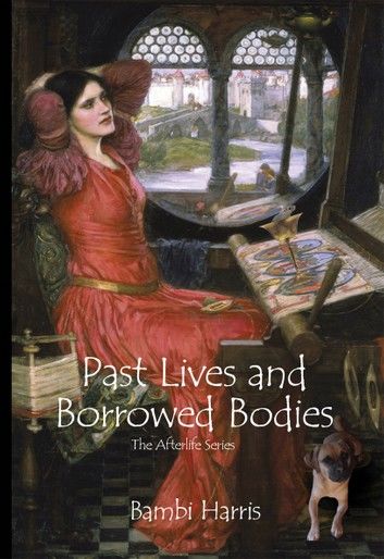 Past Lives and Borrowed Bodies