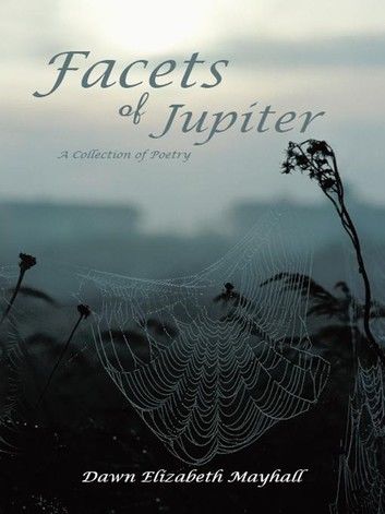 Facets of Jupiter