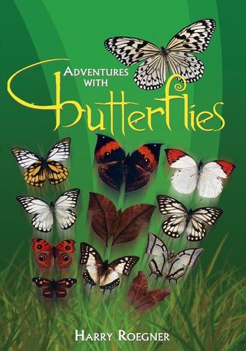 Adventures With Butterflies