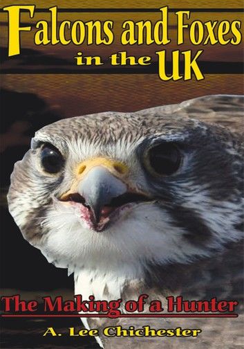 Falcons and Foxes in the U.K.