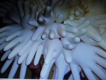 When Only The Best Will Do