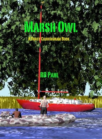 Marsh Owl: TCPI 6
