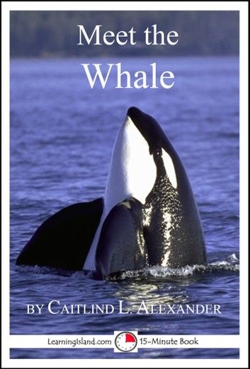 Meet the Whale: A 15-Minute Book