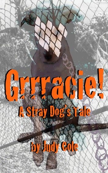 Grrracie! A Stray Dog\