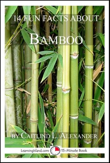 14 Fun Facts About Bamboo: A 15-Minute Book