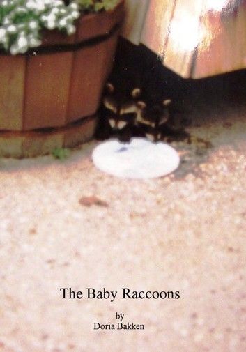 The Baby Raccoons