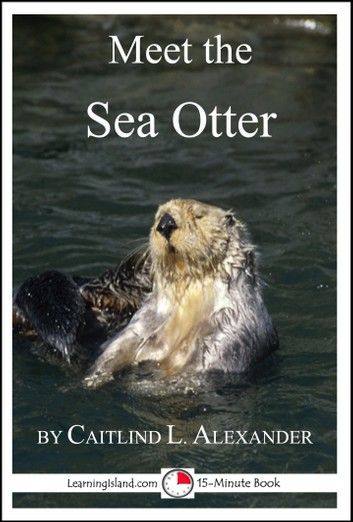 Meet the Sea Otter: A 15-Minute Book