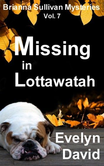 Missing in Lottawatah