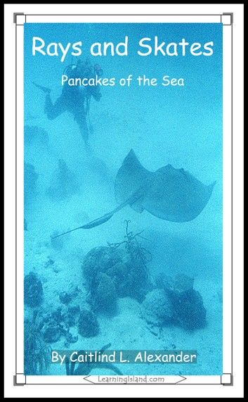 Rays and Skates: Pancakes of the Sea