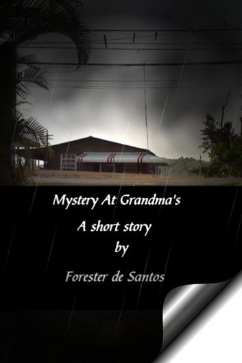 Mystery at Grandma\