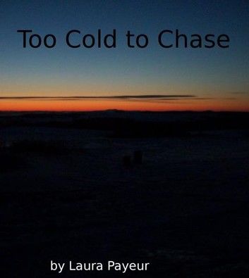 Too Cold to Chase