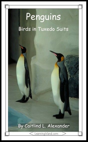 Penguins: Birds in Tuxedo Suits