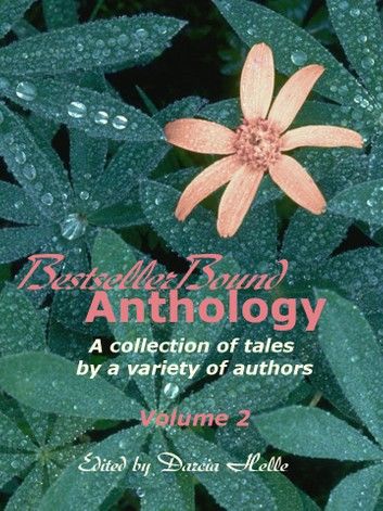 BestsellerBound Short Story Anthology Volume 2