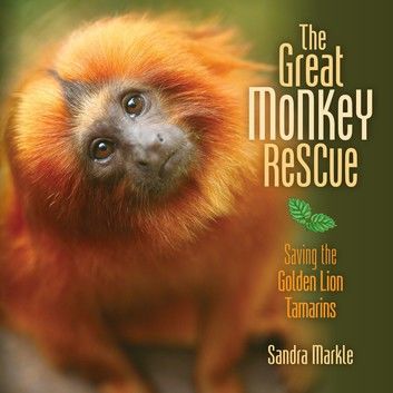 The Great Monkey Rescue