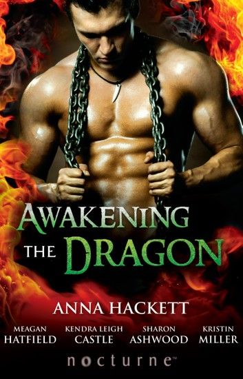 Awakening The Dragon: Savage Dragon / Dragon Warrior / Taming the Dragon / Lord Dragon\