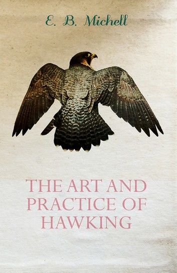 The Art and Practice of Hawking