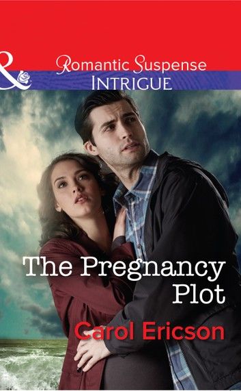 The Pregnancy Plot (Mills & Boon Intrigue) (Brothers in Arms: Retribution, Book 2)