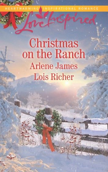 Christmas On The Ranch: The Rancher\