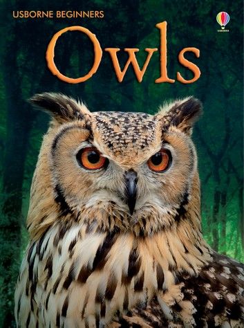 Owls: For tablet devices: For tablet devices