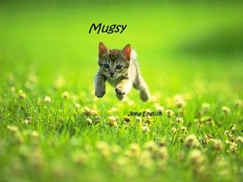 Mugsy the Kitten