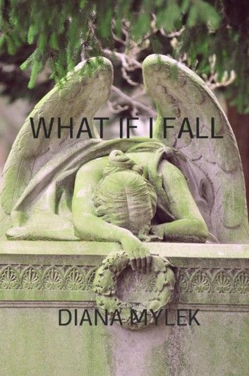 What if I Fall