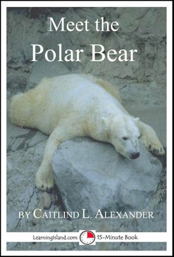 Meet the Polar Bear: A 15-Minute Book for Early Readers