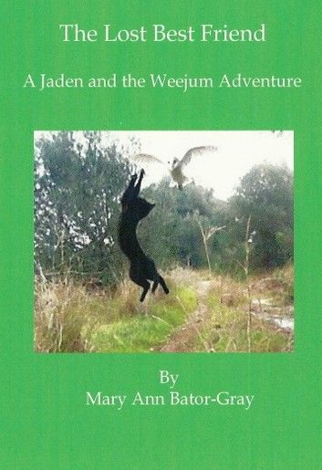 The Lost Best Friend, a Jaden and the Weejum Adventure