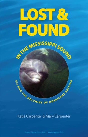 Lost & Found in the Mississippi Sound