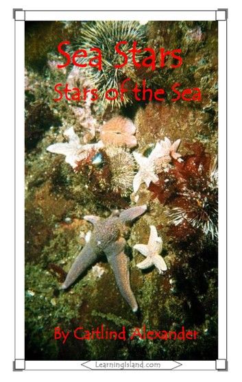 Sea Stars: Stars of the Sea