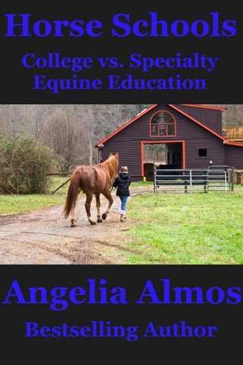 Horse Schools: College vs. Specialty Equine Education