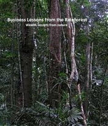 Business Lessons from the Rainforest.