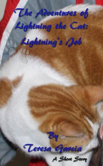 The Adventures of Lightning the Cat: Lightning\