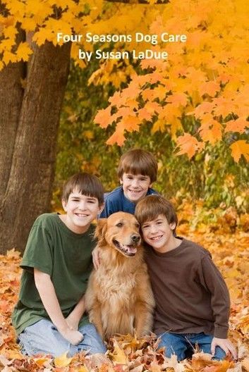 Four Seasons Dog Care: Tips for Enjoying Your Dog As The Seasons Change