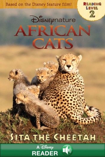 African Cats: Sita the Cheetah
