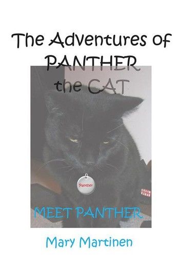 The Adventures of Panther the Cat