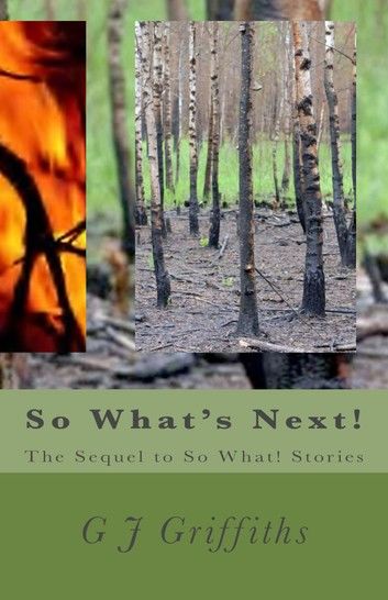 So What’s Next!: The Sequel to So What! Stories