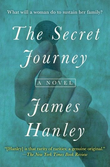 The Secret Journey