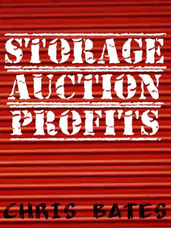 Storage Auction Profits (Beginner\