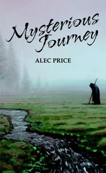 Mysterious Journey