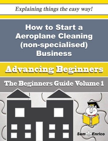 How to Start a Aeroplane Cleaning (non-specialised) Business (Beginners Guide)