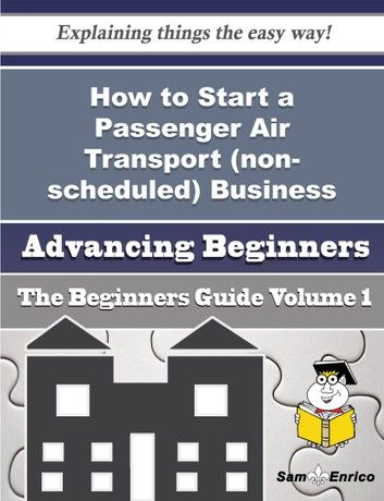 How to Start a Passenger Air Transport (non-scheduled) Business (Beginners Guide)