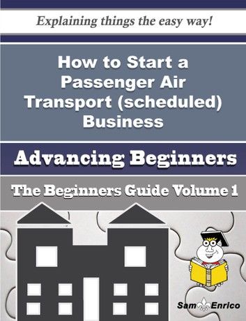 How to Start a Passenger Air Transport (scheduled) Business (Beginners Guide)
