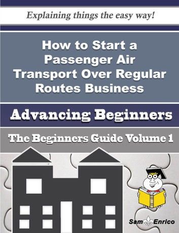 How to Start a Passenger Air Transport Over Regular Routes Business (Beginners Guide)